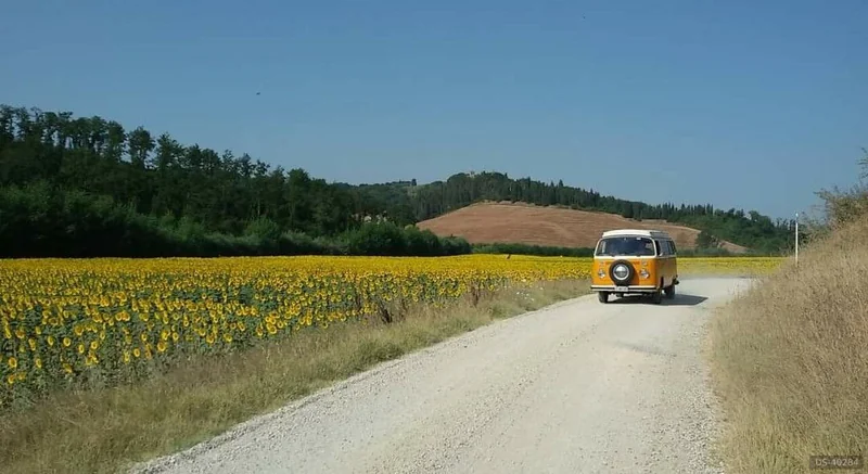 1972 Volkswagen T2 Westfalia in Firenze 3