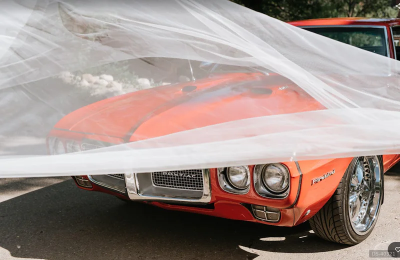 1969 Pontiac Firebird in Calgary 4