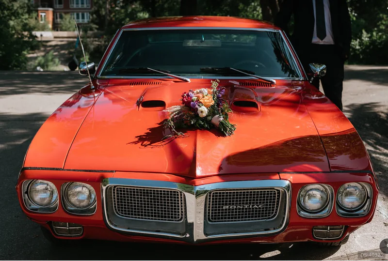 1969 Pontiac Firebird in Calgary 5