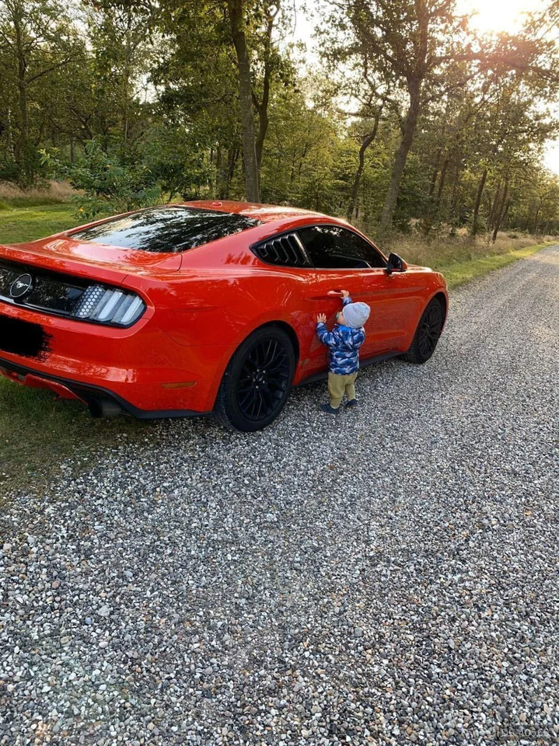 2017 Ford Mustang in Langholt 3