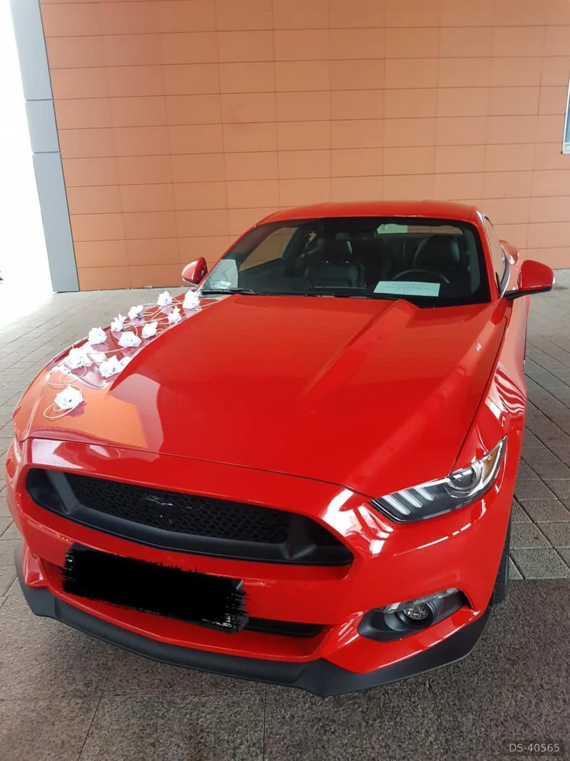 2017 Ford Mustang in Langholt 1