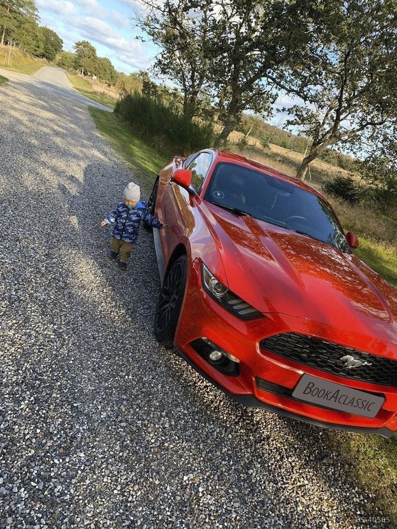 2017 Ford Mustang in Langholt 2