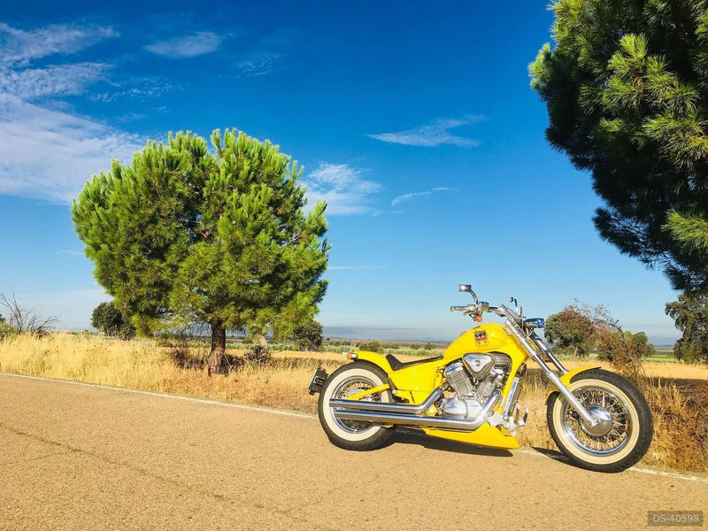 1991 Honda Shadow Vt 600 in Madrid 1
