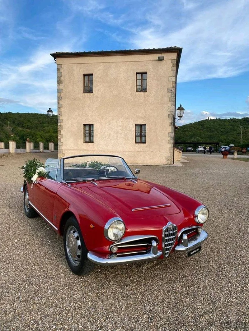 1964 Alfa Romeo Giulia Spider in Arezzo 2