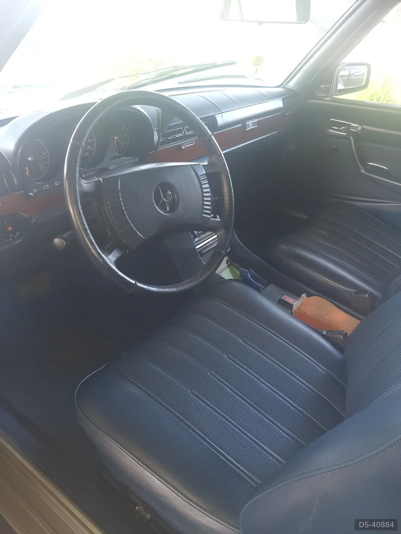 1977 Mercedes-Benz 280 Se in Camacari 8