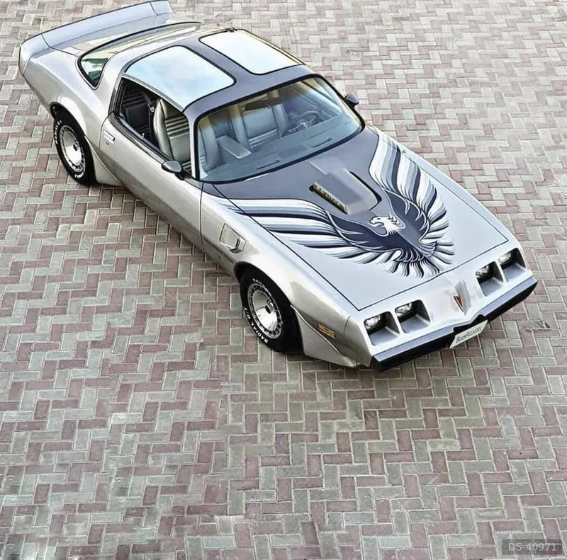 1979 Pontiac Trans Am in Mono