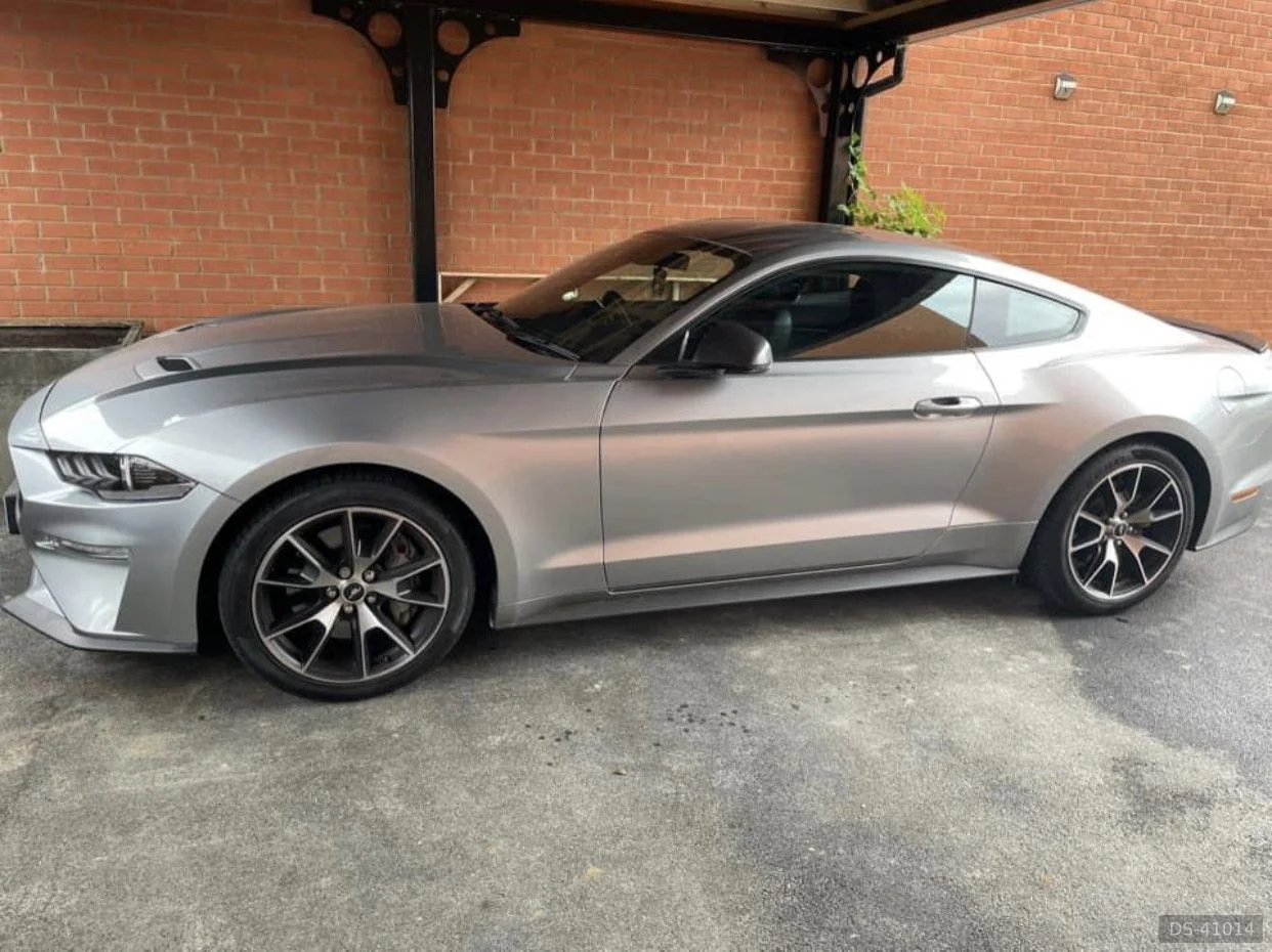 2019 Ford Mustang
