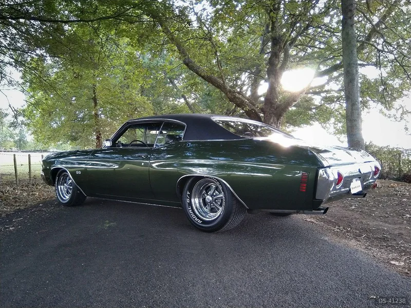 1971 Chevrolet Chevelle SS in Hamilton 3