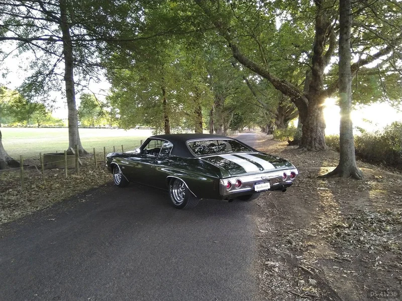 1971 Chevrolet Chevelle SS in Hamilton 4