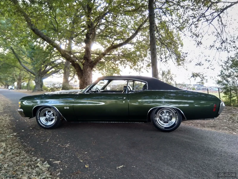 1971 Chevrolet Chevelle SS in Hamilton 5
