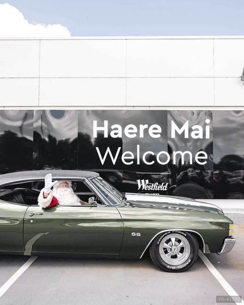 1971 Chevrolet Chevelle SS in Hamilton 6