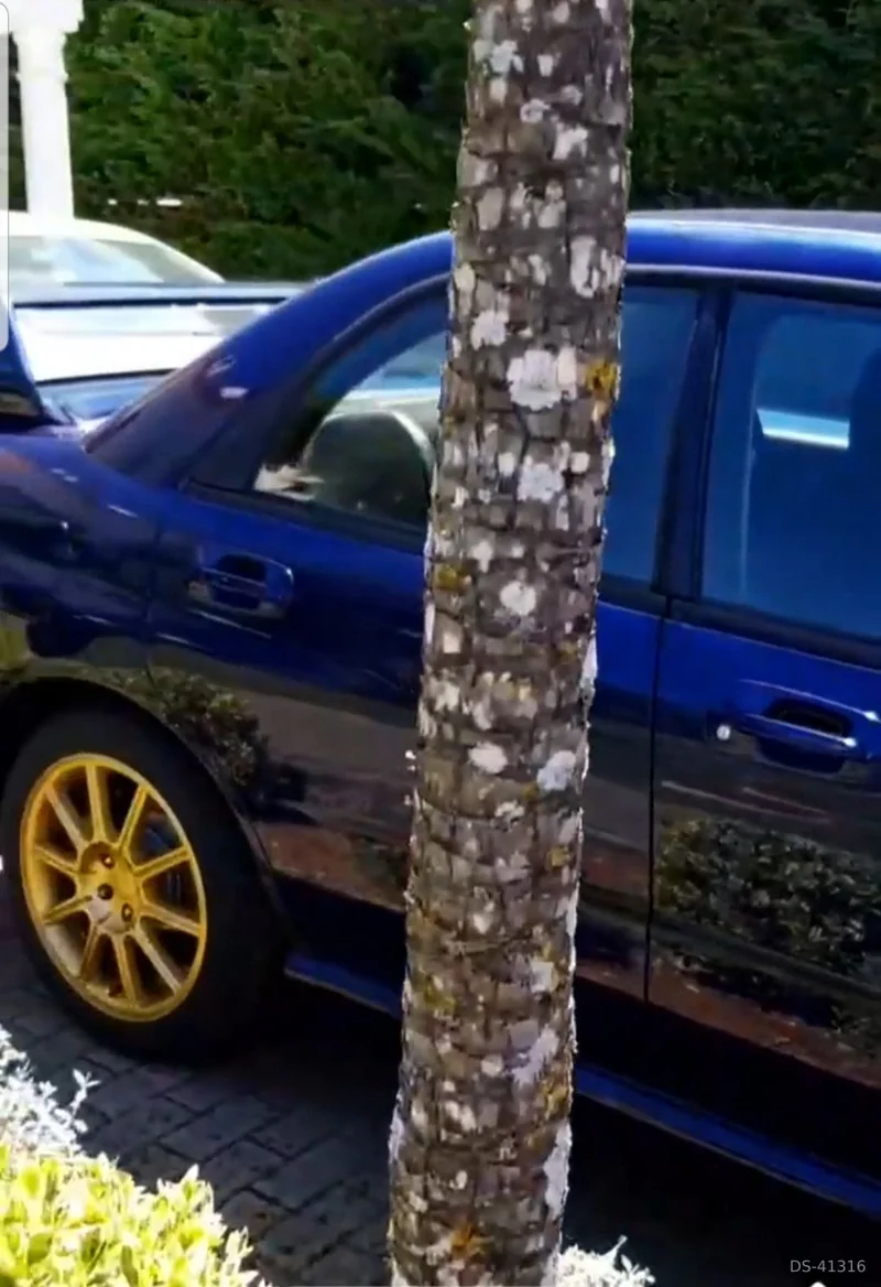 2003 Subaru Impreza in Odivelas 4