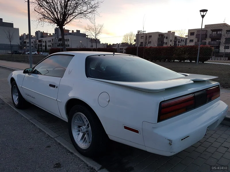 1991 Pontiac Firebird in Pinto 4