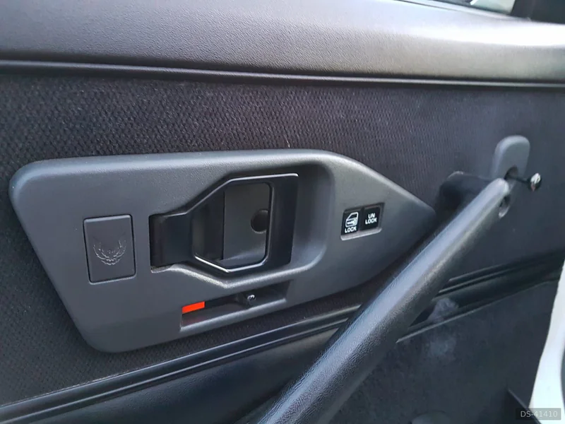 1991 Pontiac Firebird in Pinto 5