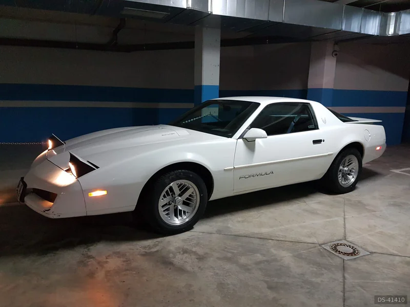 1991 Pontiac Firebird in Pinto 7
