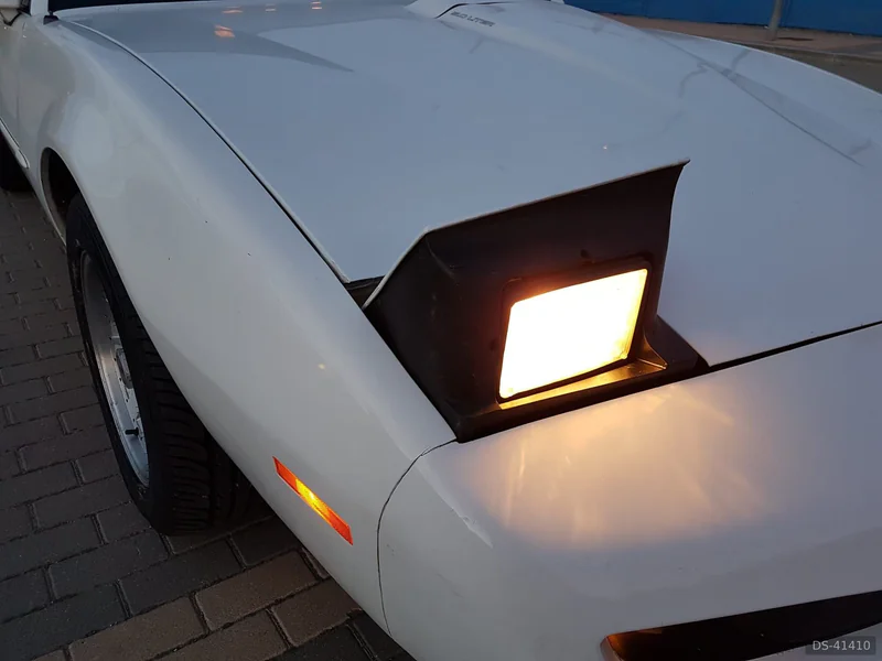 1991 Pontiac Firebird in Pinto 10