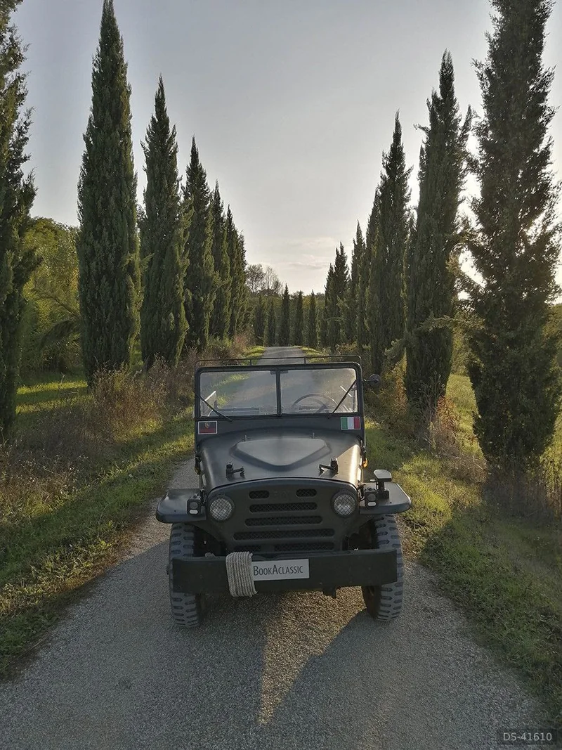 1964 Fiat Campagnola Ar 59 Esercito in Arezzo 3