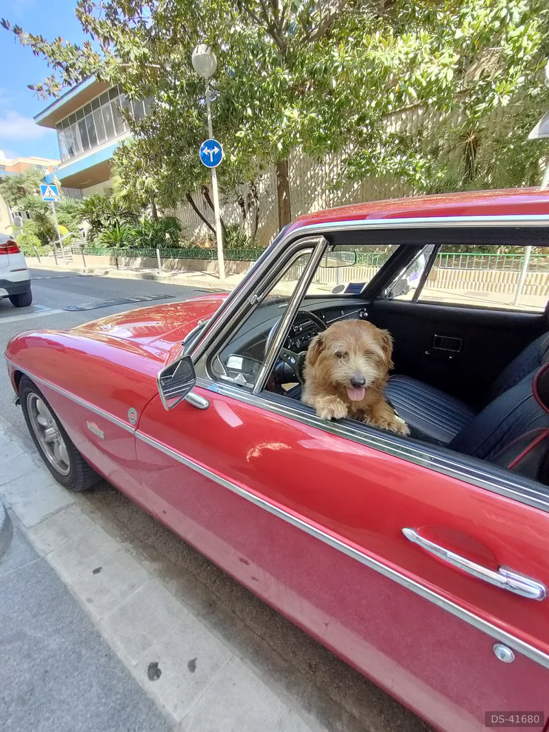 1971 MG B Gt Coupé in Barcelona 2