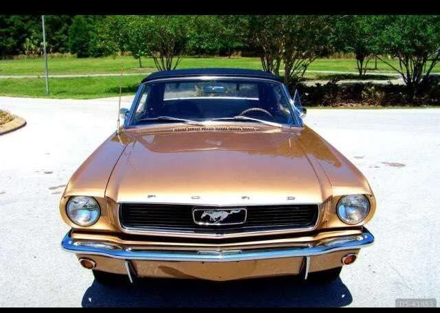 1965 Ford Mustang in Chiclana De La Frontera 4
