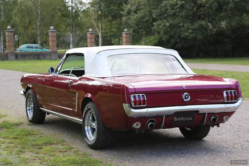 1964 Ford Mustang in Cobham 5