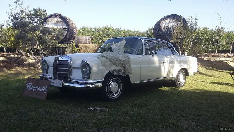1964 Mercedes-Benz 220 Seb Coupé in Torrent 3
