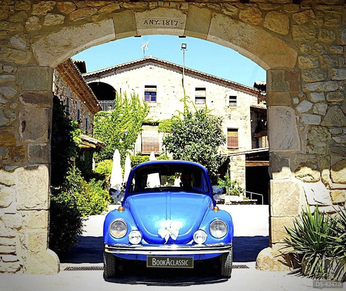 1973 Volkswagen 1303