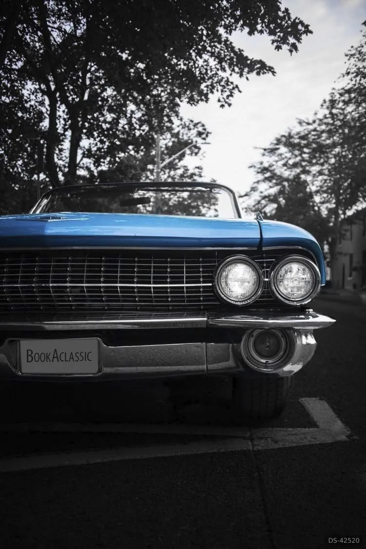 1961 Cadillac Series 62 Convertible in Niagara Falls 2
