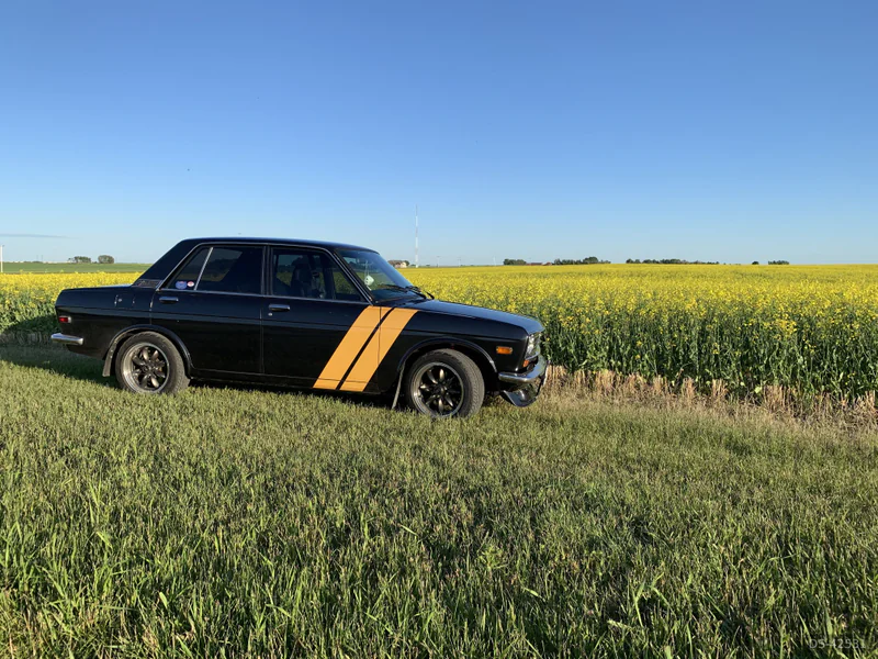1970 Datsun 510 in Calgary 3