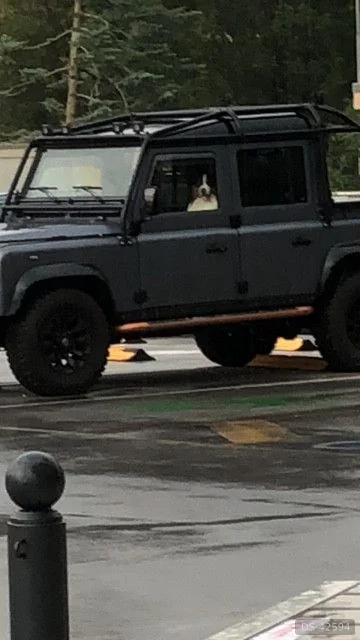 2001 Land Rover Defender 110 Cc in Vedano Al Lambro 7