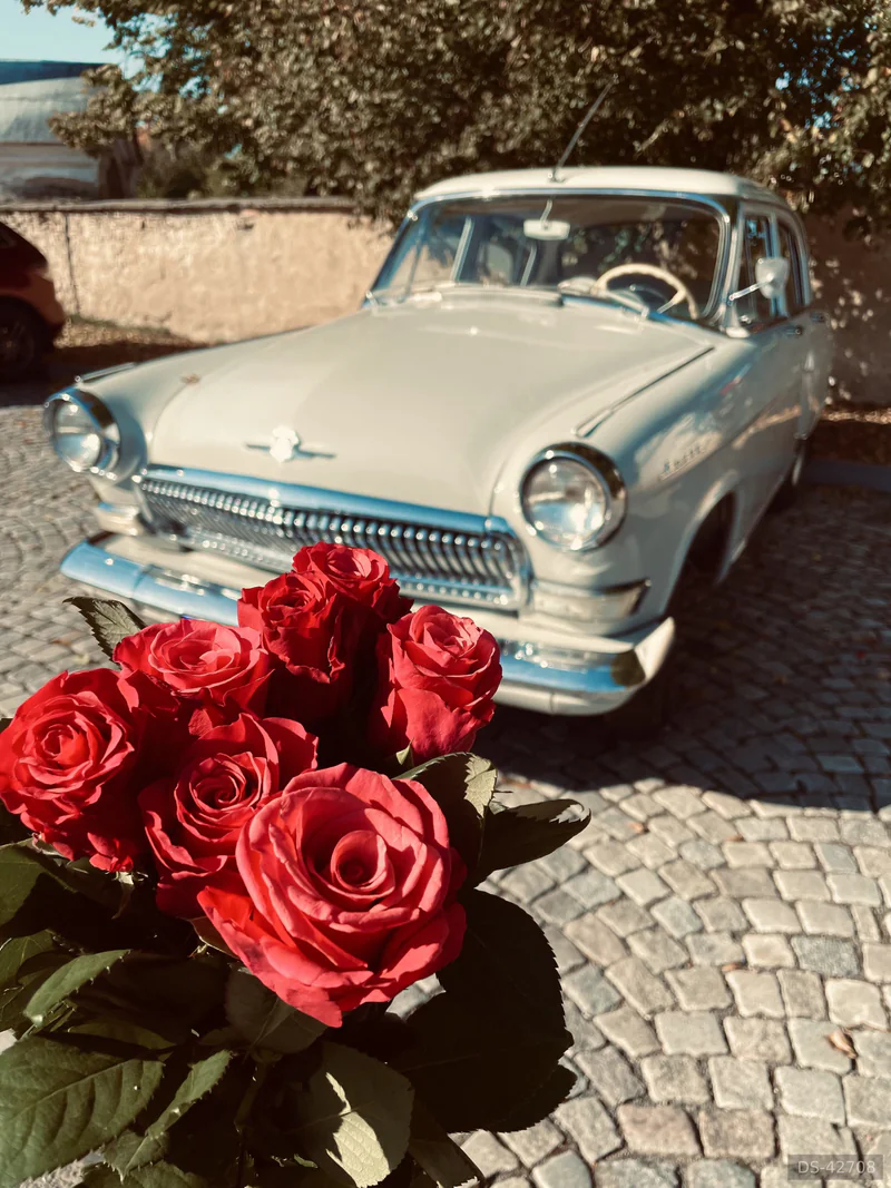 1969 GAZ 21 in Hranice 5