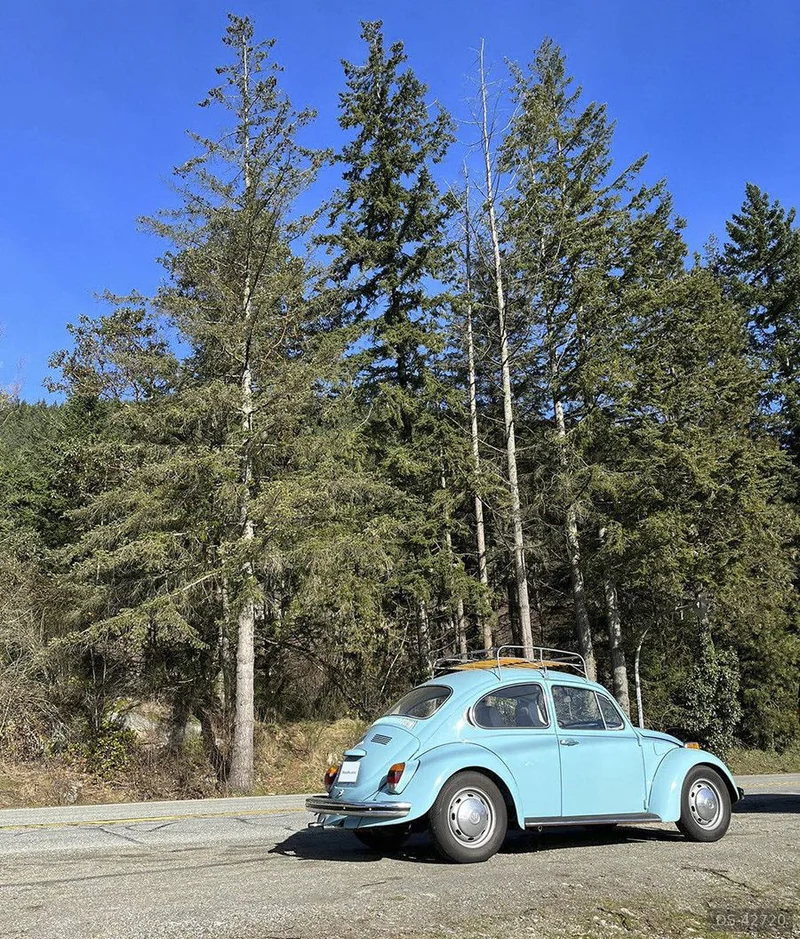 1971 Volkswagen Beetle in Vancouver