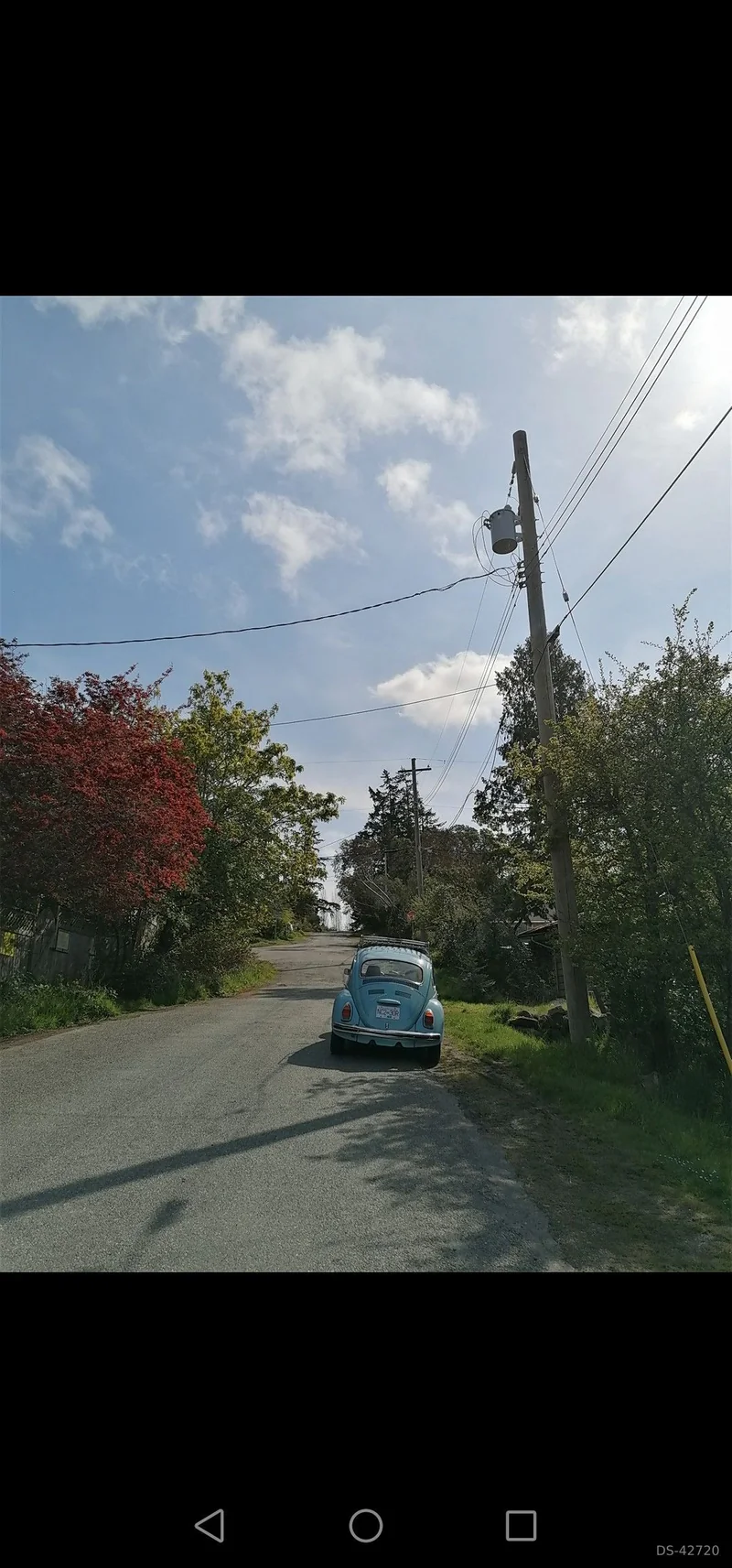 1971 Volkswagen Beetle in Vancouver 2