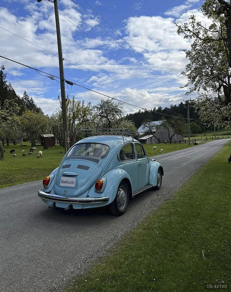 1971 Volkswagen Beetle in Vancouver 4