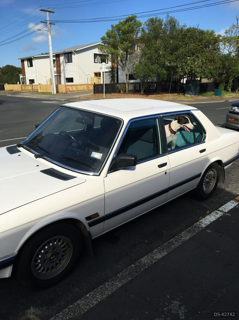 1987 BMW 525e in Auckland 2