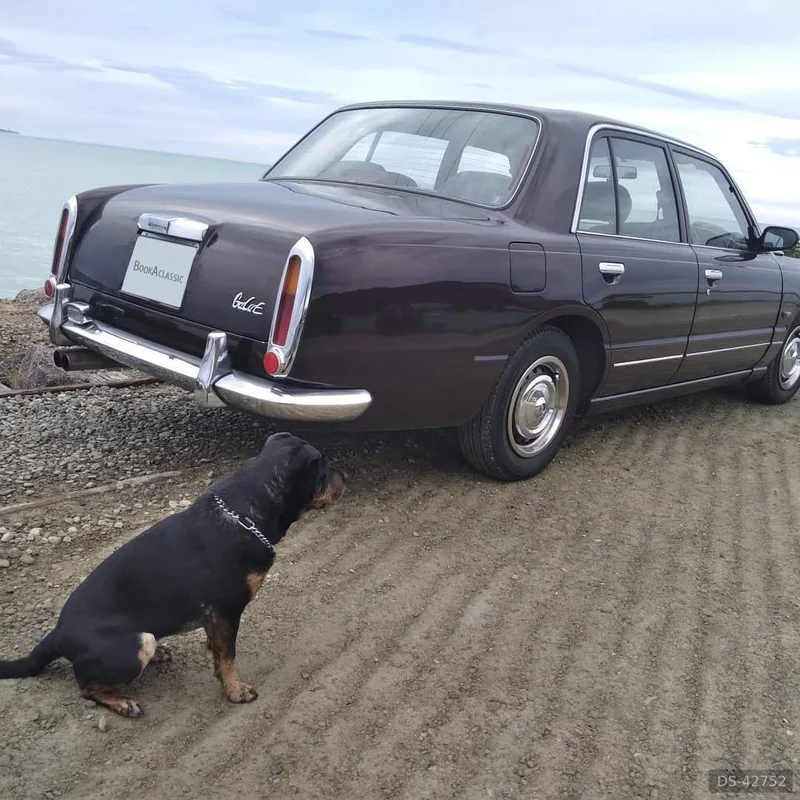 1996 Mitsuoka Galue in Dunedin 5