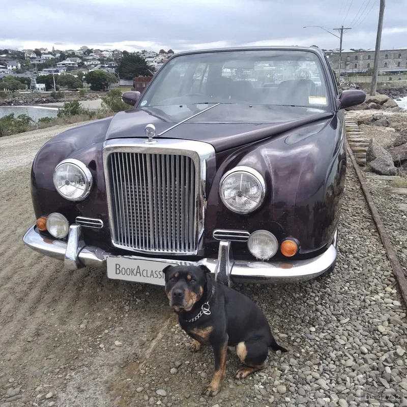 1996 Mitsuoka Galue in Dunedin 3