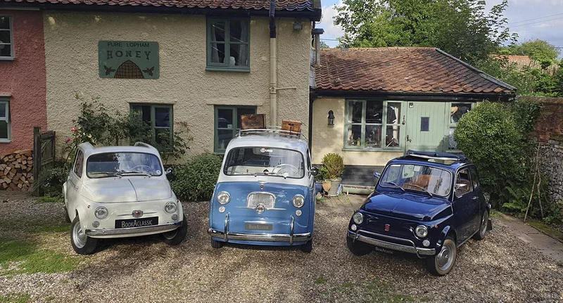 1964 Fiat 500 D in Diss, Norfolk 9
