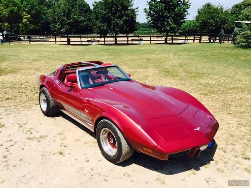 1979 Chevrolet Corvette C3 in Rovello Porro 2