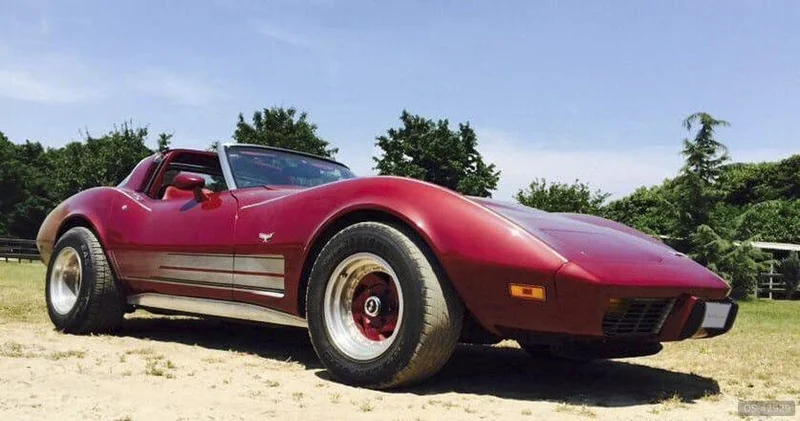 1979 Chevrolet Corvette C3 in Rovello Porro 3