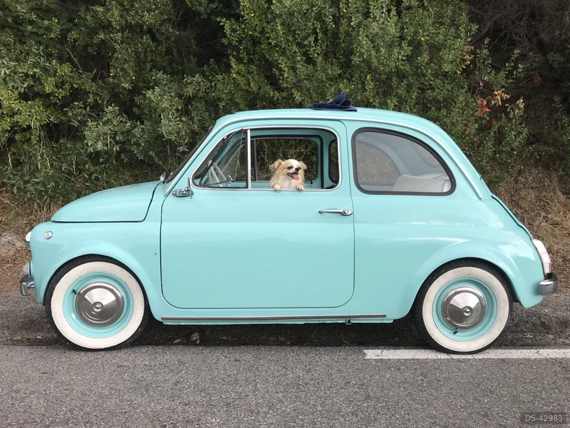 1971 Fiat 500 F in Savona 4