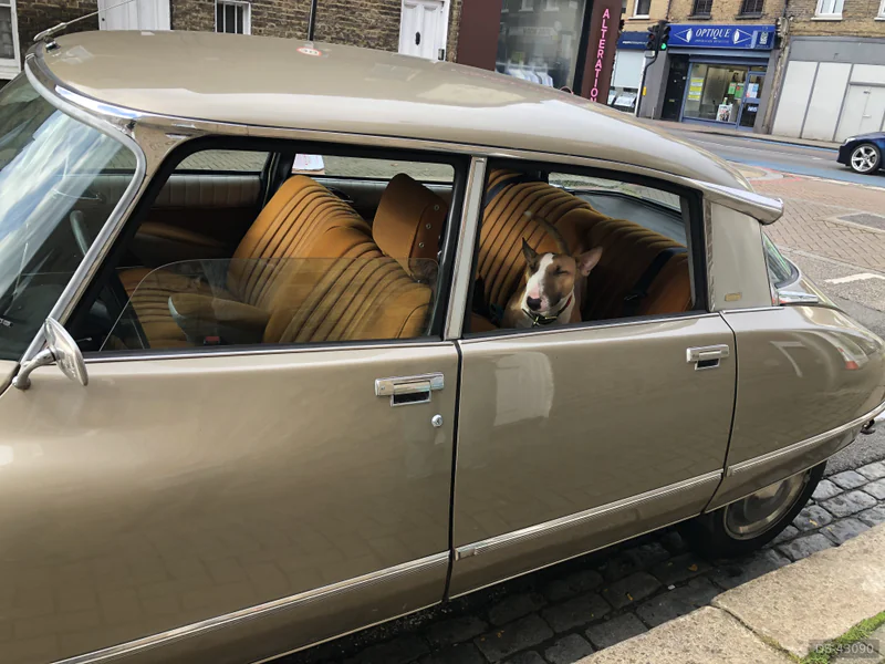1974 Citroen DS 20 in London 5