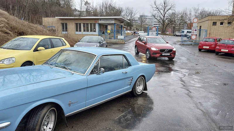 1966 Ford Mustang in Sobědruhy (okres Teplice) 2