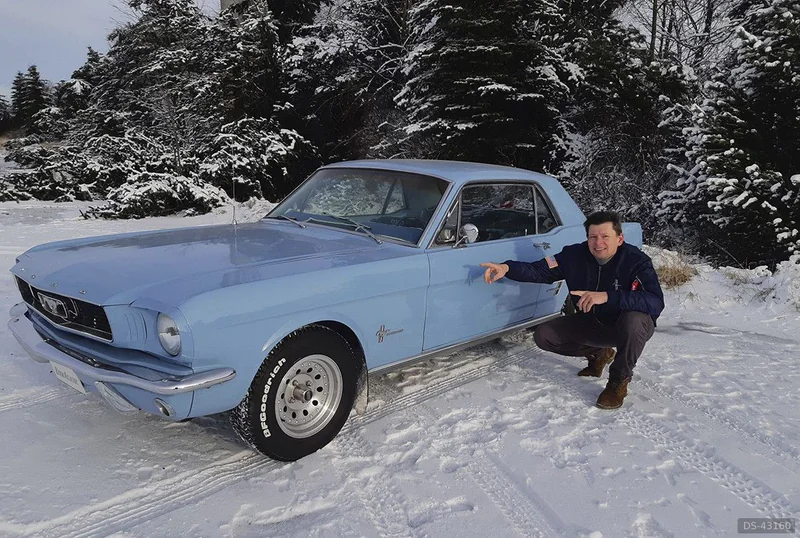 1966 Ford Mustang in Sobědruhy (okres Teplice) 4
