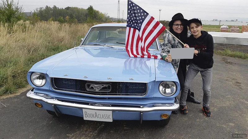 1966 Ford Mustang in Sobědruhy (okres Teplice) 5