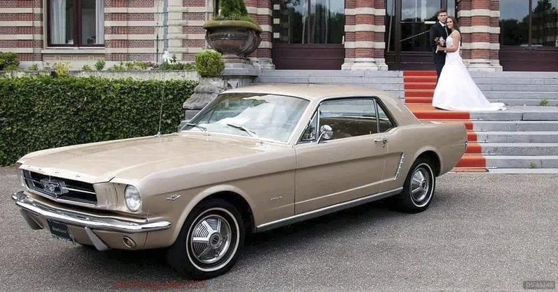 1965 Ford Mustang Coupe in Den Haag 4