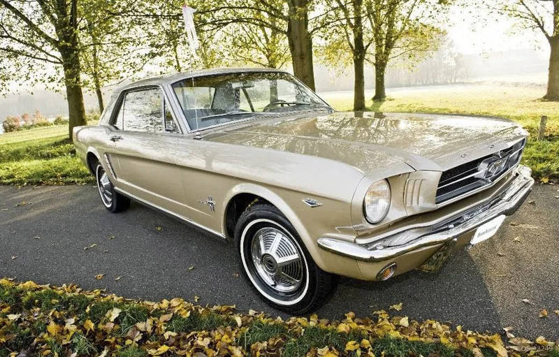 1965 Ford Mustang Coupe in Den Haag 6