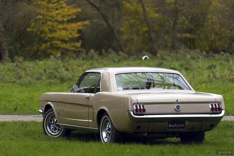 1965 Ford Mustang Coupe in Den Haag 5