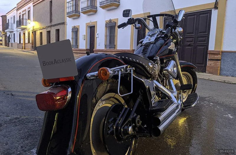 1989 Harley-Davidson Fat Boy in Niebla 2