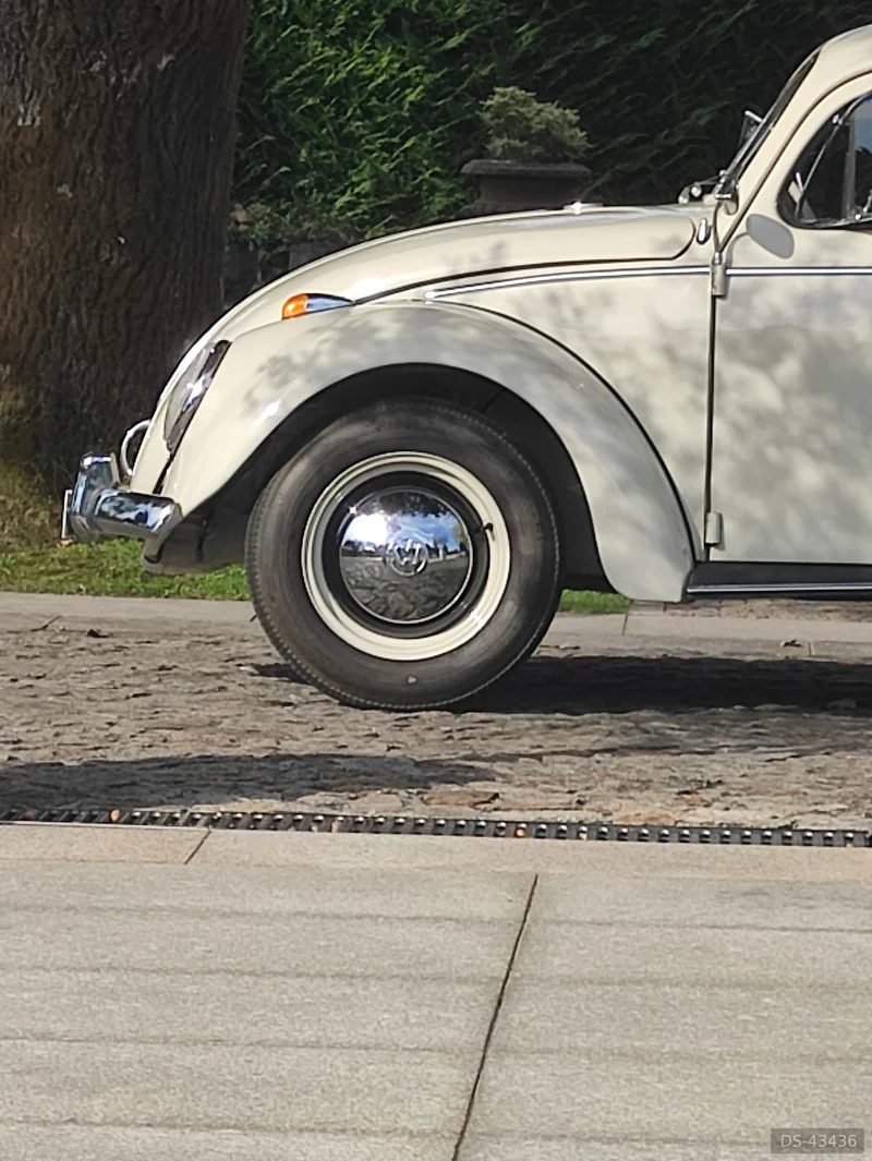 1962 Volkswagen Carocha in Pereira 4