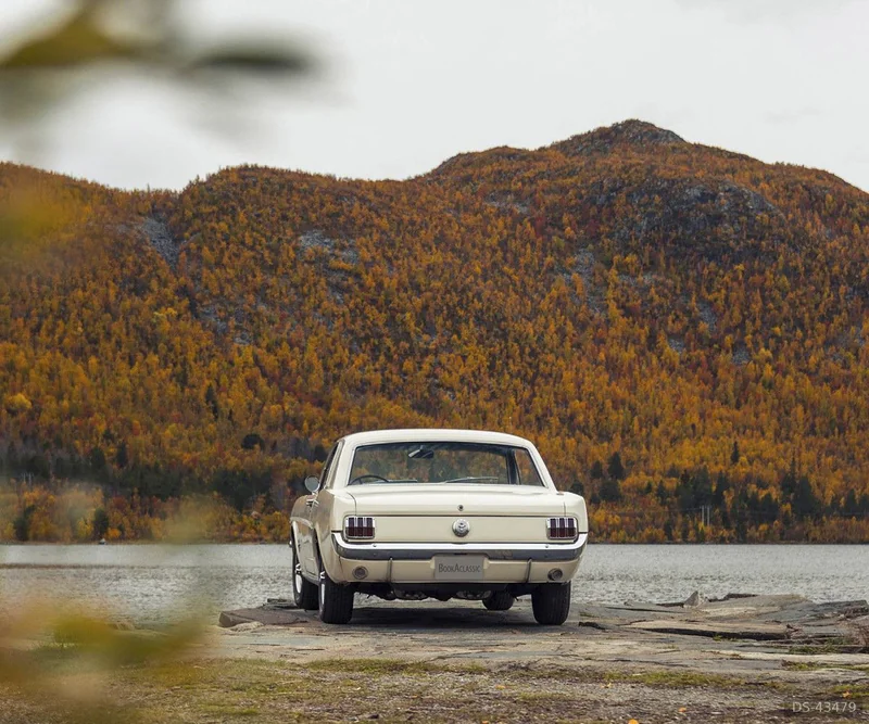 1966 Ford Mustang in Geilo 6